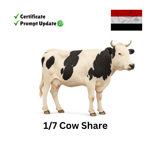 Eid Qurban Cow Share - Yemen