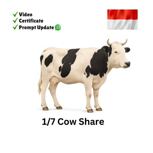 Eid Qurban Cow Share - Indonesia