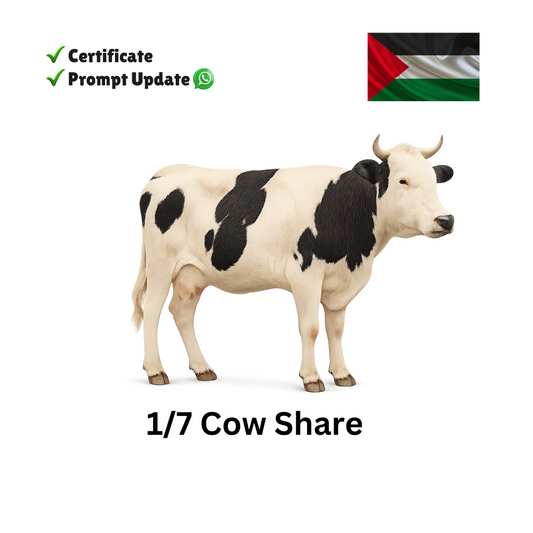 Eid Qurban Cow Share - Palestinian Refugees