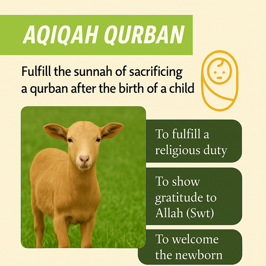 Aqiqah Qurban