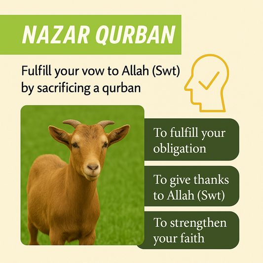 Nazar Qurban